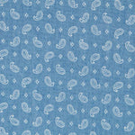 Lightweight Cotton Paisley tiny Denim - Ribes y Casals