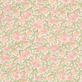 Pink Beige Cotton - Ribes y Casals