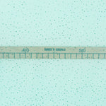 Glossy Tulle Fabric Aquamarine - Ribes y Casals