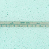 Glossy Tulle Fabric Aquamarine - Ribes y Casals