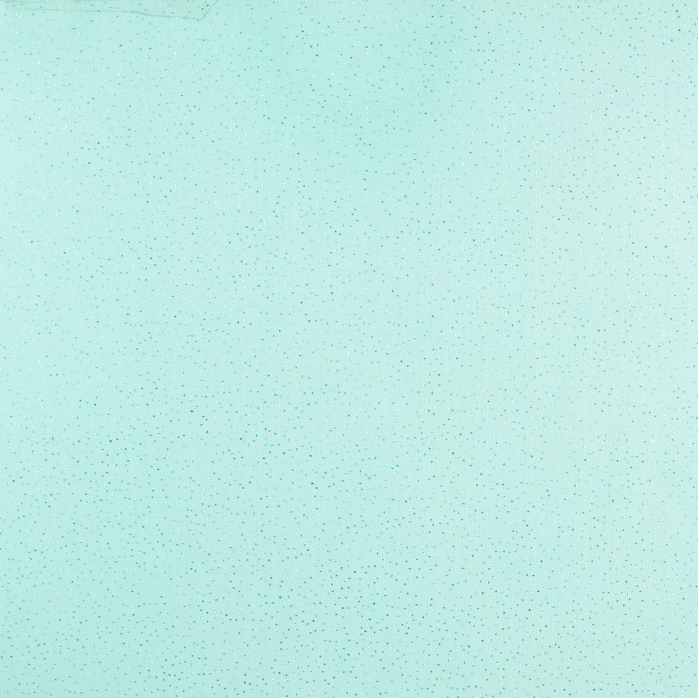 Glossy Tulle Fabric Aquamarine - Ribes y Casals