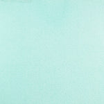 Glossy Tulle Fabric Aquamarine - Ribes y Casals