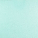 Glossy Tulle Fabric Aquamarine - Ribes y Casals