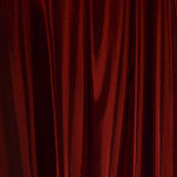 Garnet Print Foil Fabric - Ribes y Casals