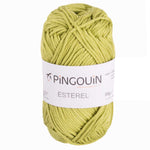 Wool Pingouin Esterel Green Pistachio - Ribes y Casals