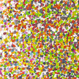 Pink Confetti Tulle with Multicoloured Mini Sequins - Ribes y Casals