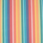 Multicolor Striped Outoor Canvas - Ribes y Casals