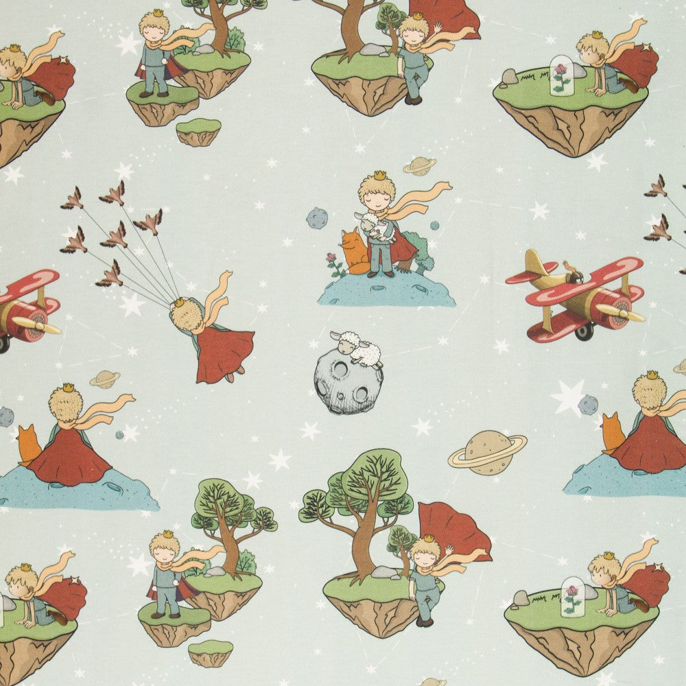 The Petit Prince Green Canvas - Ribes y Casals