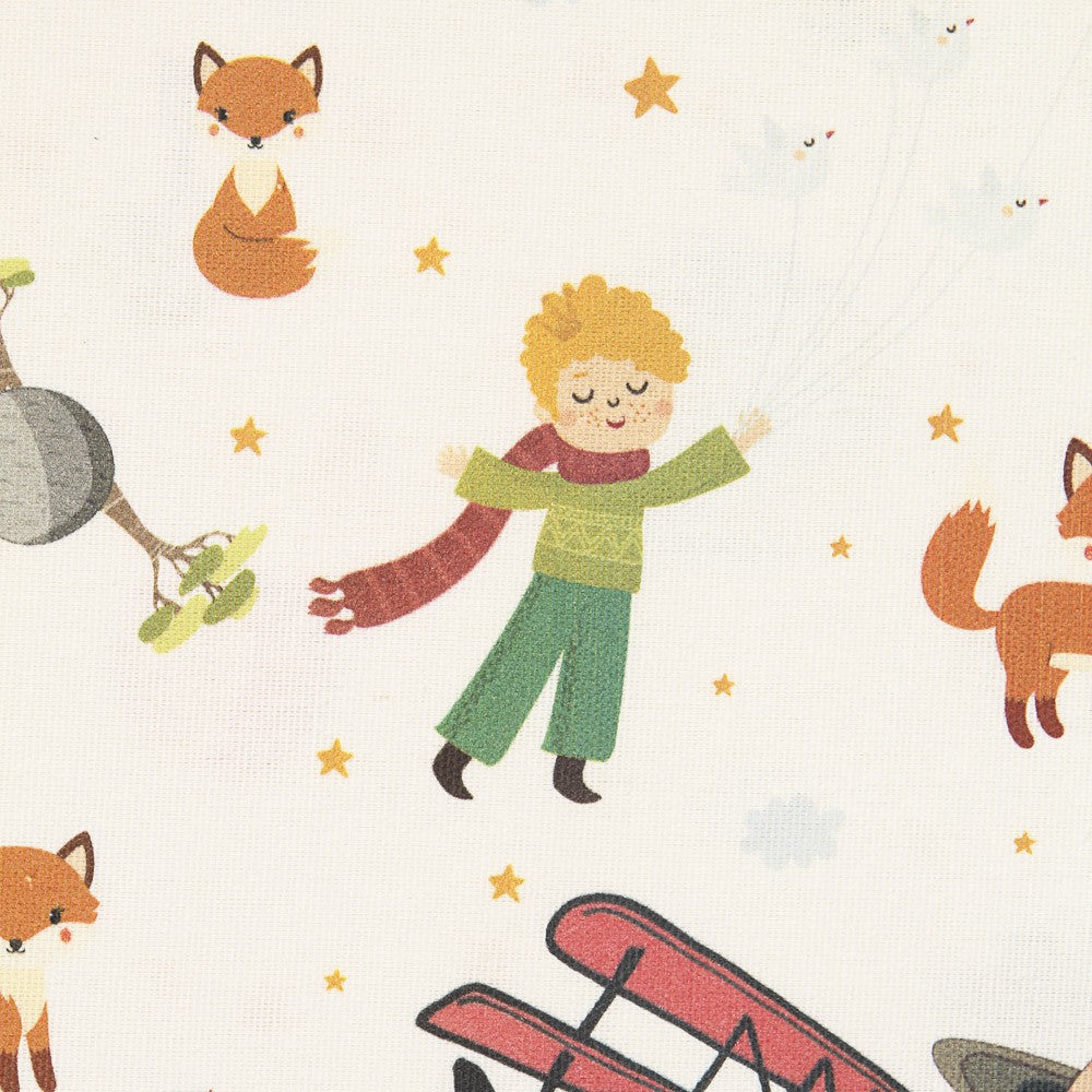 Canvas The Little Prince - Ribes y Casals