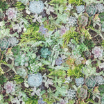 Printed Cloth Garden Green - Ribes y Casals