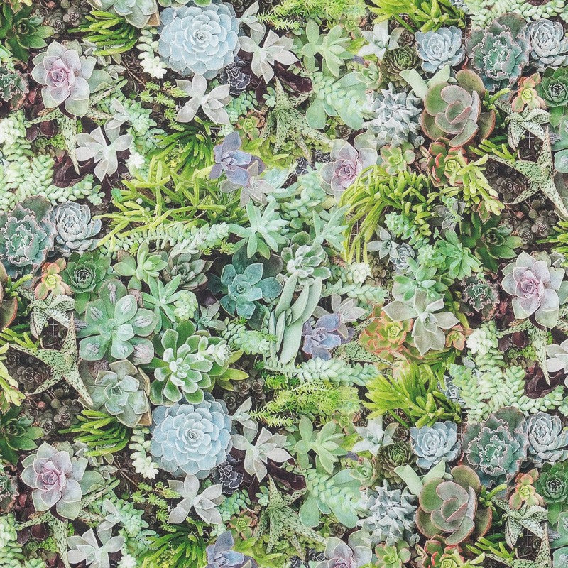 Printed Cloth Garden Green - Ribes y Casals