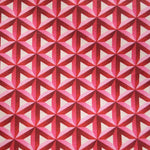 Canvas Stars Fuchsia - Ribes y Casals