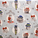 Cats and Stars Canvas - Ribes y Casals
