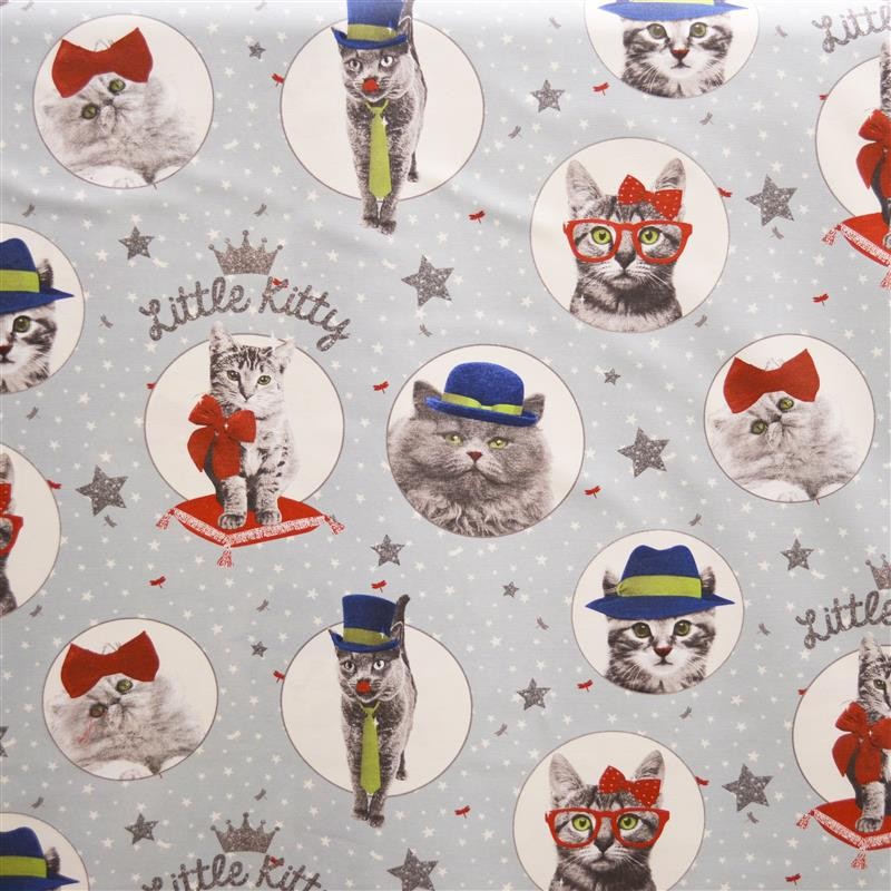 Cats and Stars Canvas - Ribes y Casals
