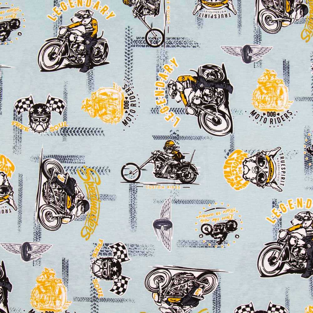 Canvas Harley Davidson Blue - Ribes y Casals