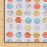 MultiColour Hexagonal Canvas - Ribes y Casals