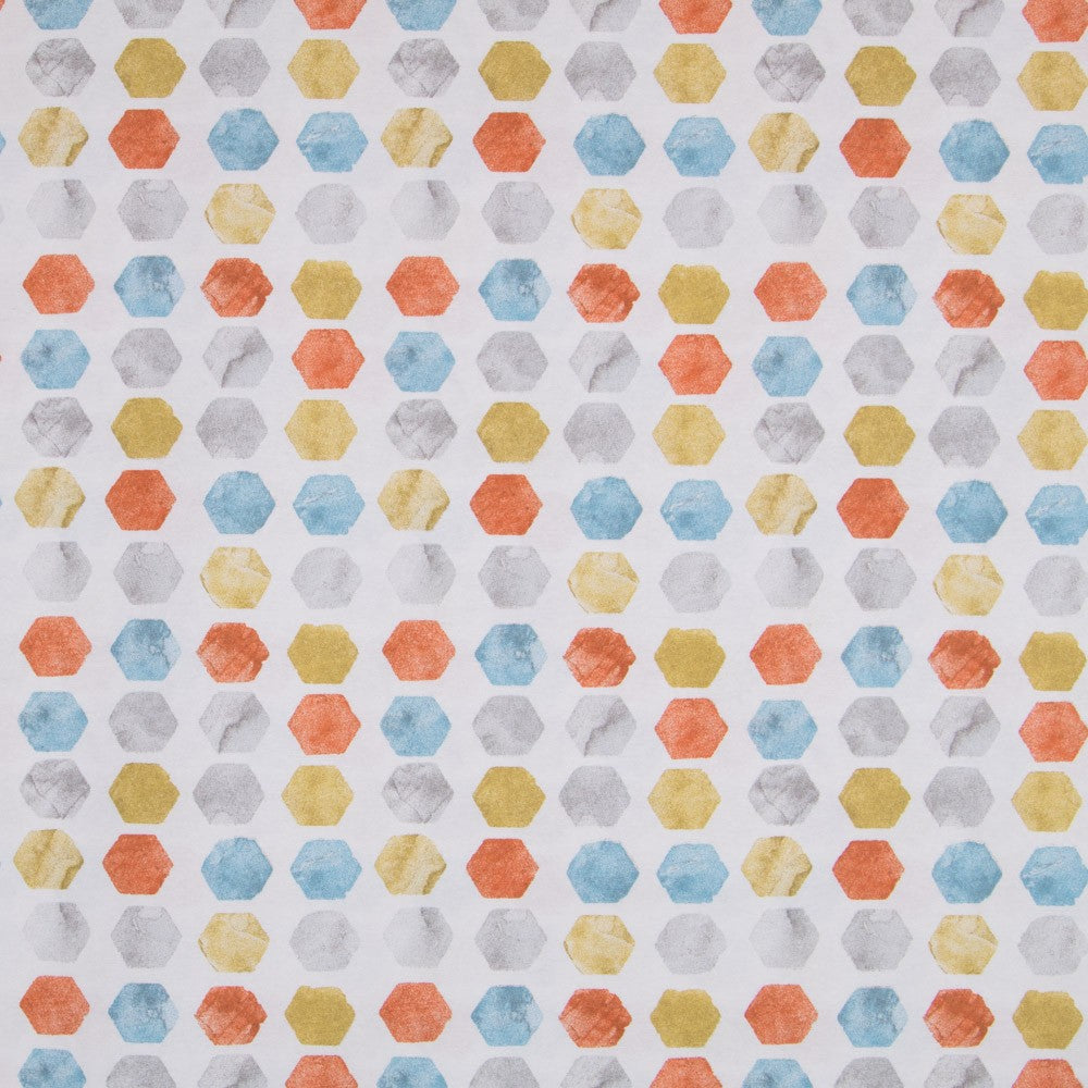 MultiColour Hexagonal Canvas - Ribes y Casals