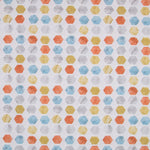 MultiColour Hexagonal Canvas - Ribes y Casals