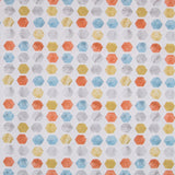 MultiColour Hexagonal Canvas - Ribes y Casals
