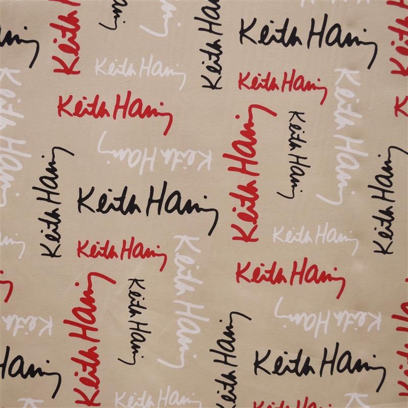 Canvas Keith Haring - Ribes y Casals