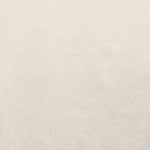 Oxford Canvas Ecru - Ribes y Casals