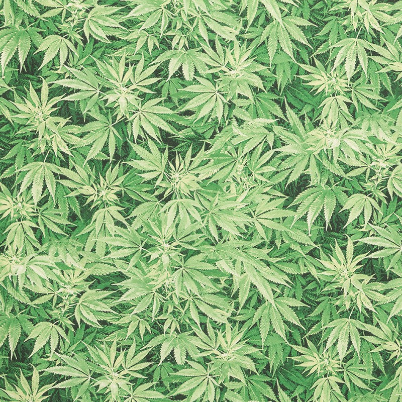Printed Cloth Plants Green - Ribes y Casals