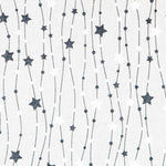Christmas Canvas Stars Black Silver - Ribes y Casals