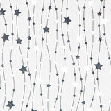 Christmas Canvas Stars Black Silver - Ribes y Casals