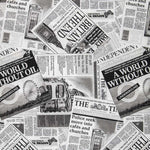 Canvas Sun Newspapers - Ribes y Casals