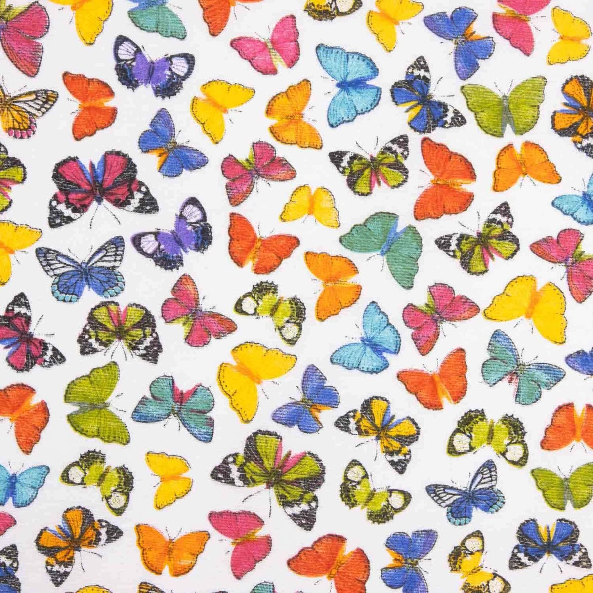 Butterfly Print Canvas - Ribes y Casals