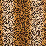 Leopard Canvas - Ribes y Casals