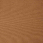 Autumn Brown Canvas - Ribes y Casals