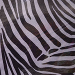 Zebra Holograph Rash Guard - Ribes y Casals