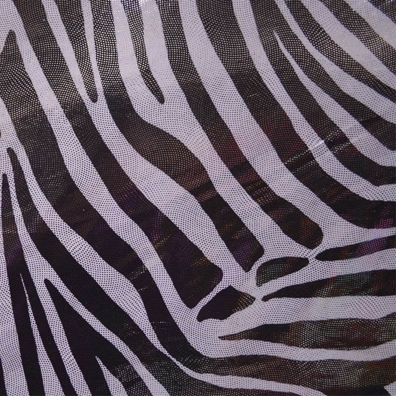 Zebra Holograph Rash Guard - Ribes y Casals