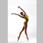 Hologram Lycra Zebra Yellow - Ribes y Casals