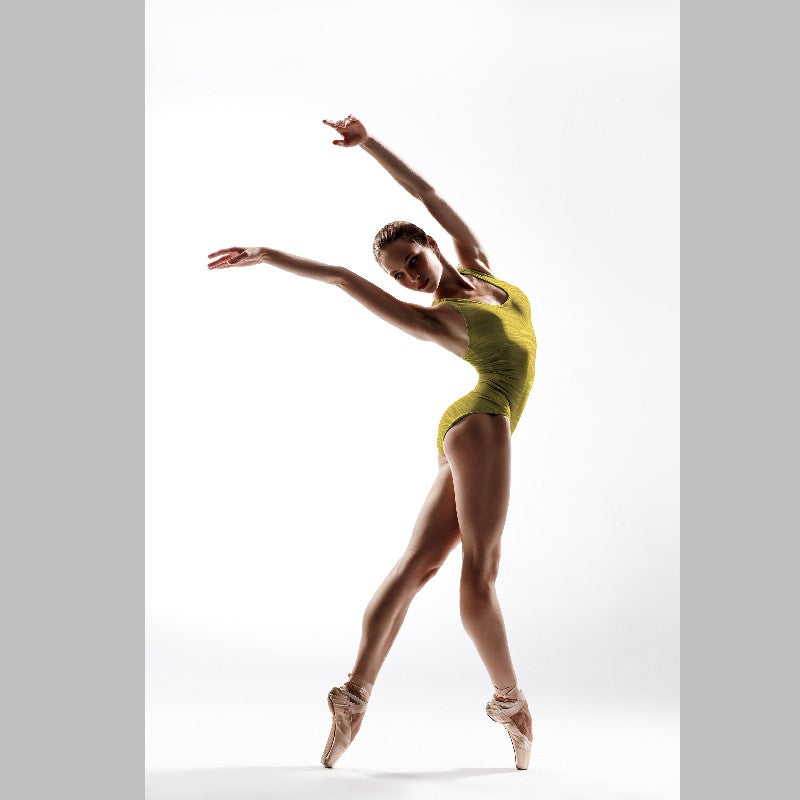 Hologram Lycra Zebra Yellow - Ribes y Casals