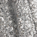 Silver Sequin Lycra Fabric on Elastic Tulle - Ribes y Casals