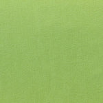 Plain Lyocell Apple Green - Ribes y Casals