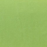 Plain Lyocell Apple Green - Ribes y Casals