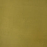 Plain Lyocell Olive Green - Ribes y Casals