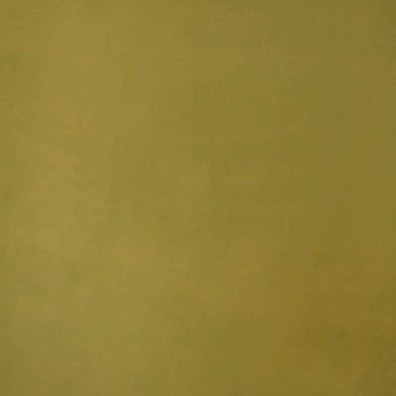 Plain Lyocell Olive Green - Ribes y Casals