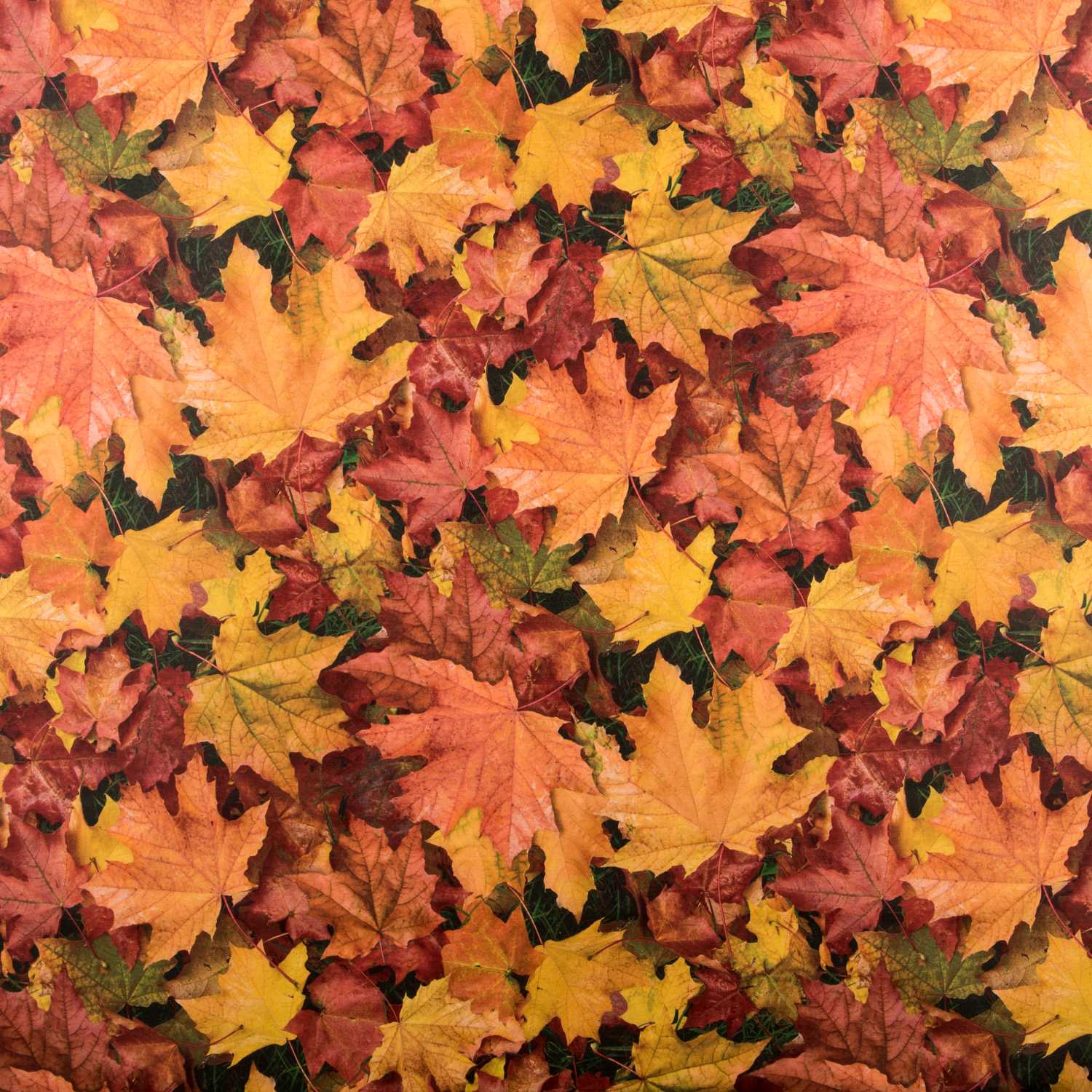 Anti-Stain Tablecloth Autumn Leaves - Ribes y Casals