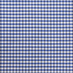 Tablecloth Stainproof Vichy Strong Blue - Ribes y Casals