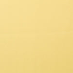 Neoprene Summer Yellow - Ribes y Casals