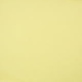 Yellow Polyester Organdi - Ribes y Casals