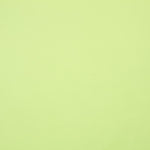 Organdi Polyester Pistachio - Ribes y Casals