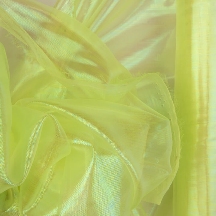 Lime-coloured Iris organza - Ribes y Casals
