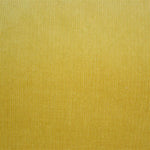 Mustard Cotton Corduroy - Ribes y Casals