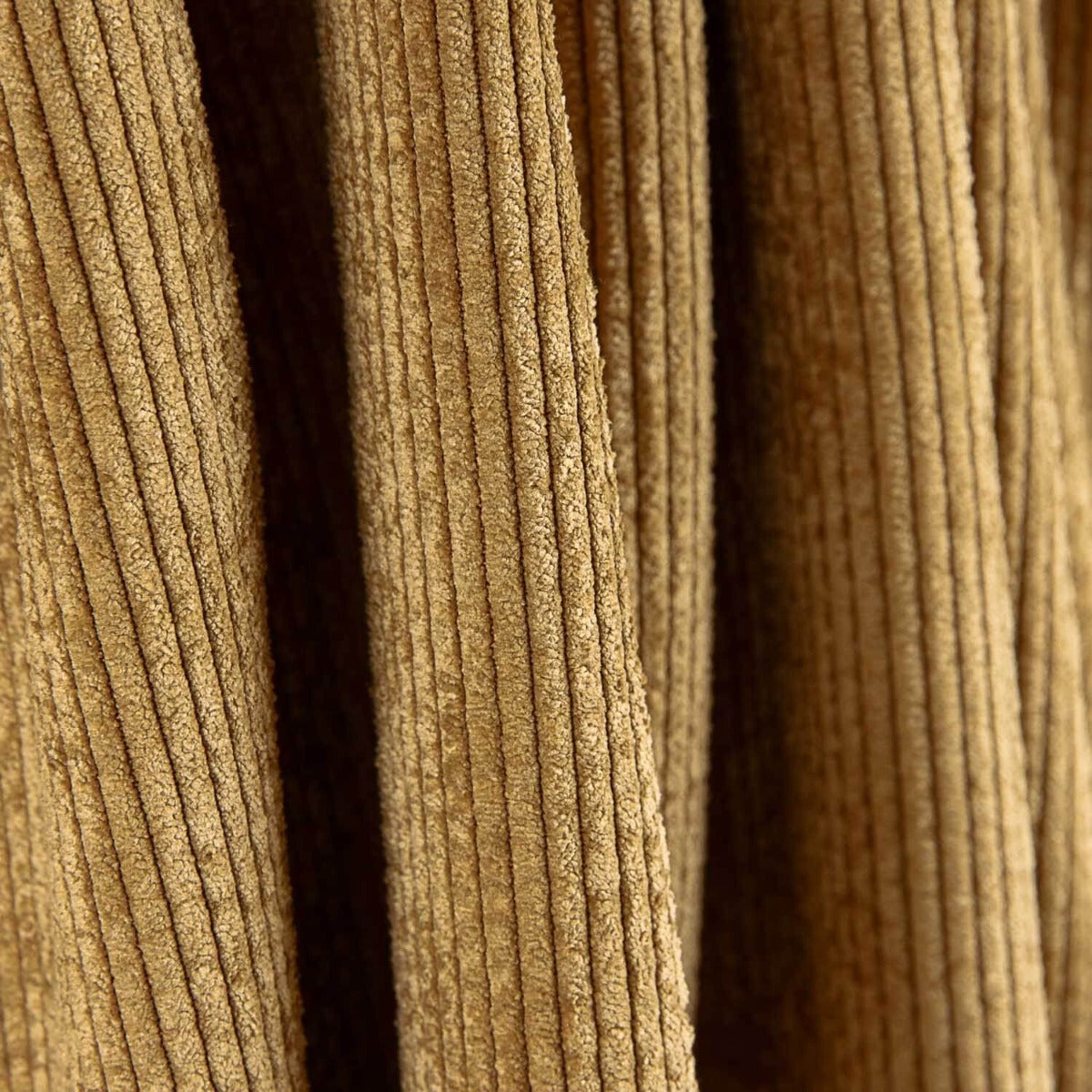 Camel Fashion Corduroy - Ribes y Casals
