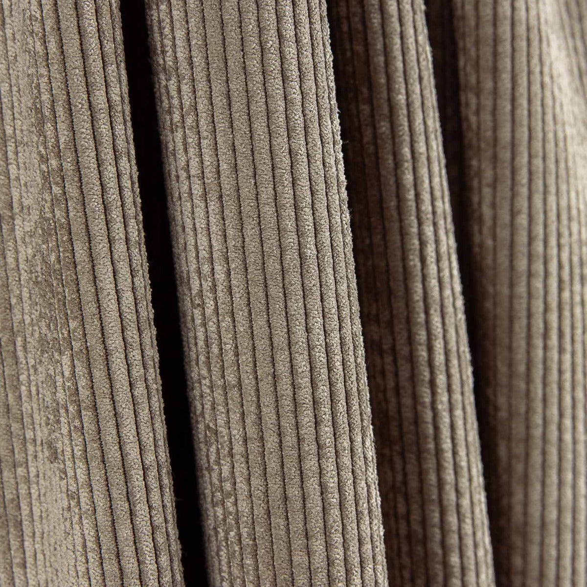 Taupe Fashion Corduroy - Ribes y Casals
